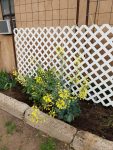 Resized_20180502_172437